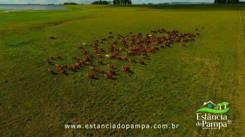 DOS EÓLICOS VIRA P FAZENDA_Moment.00_02_28_19.Quadro190_13b89d7f3f3b6e2b0526f42dfa66eb9f2fcdf105.jpg